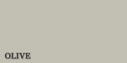Home Siding Image